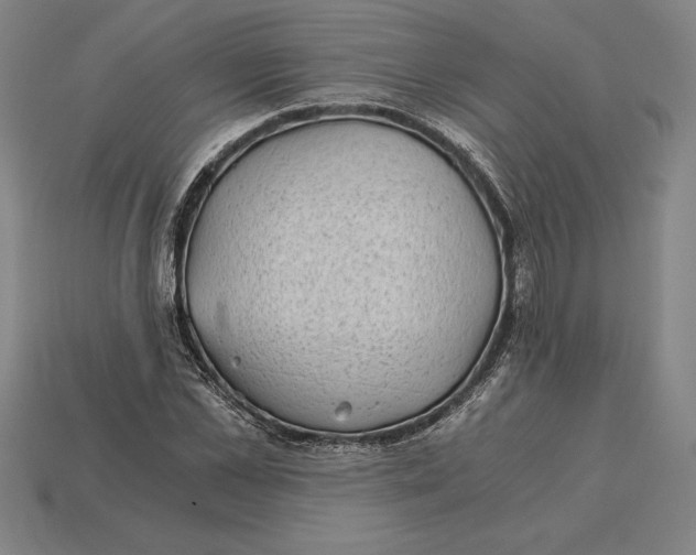 X0000115280973200911131825