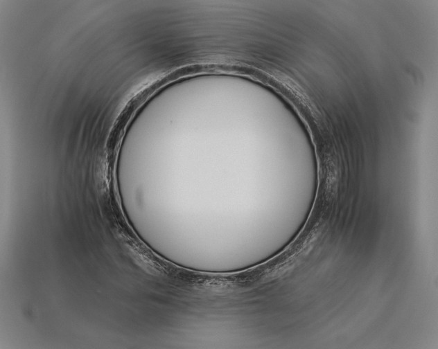 X0000115280974200911131825