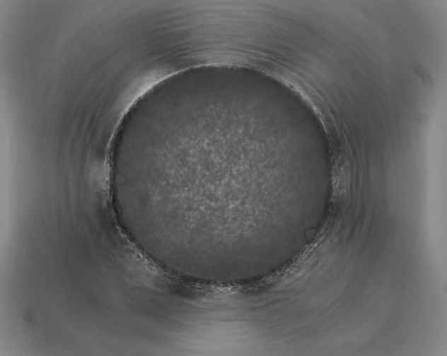 X0000115280975200911131825