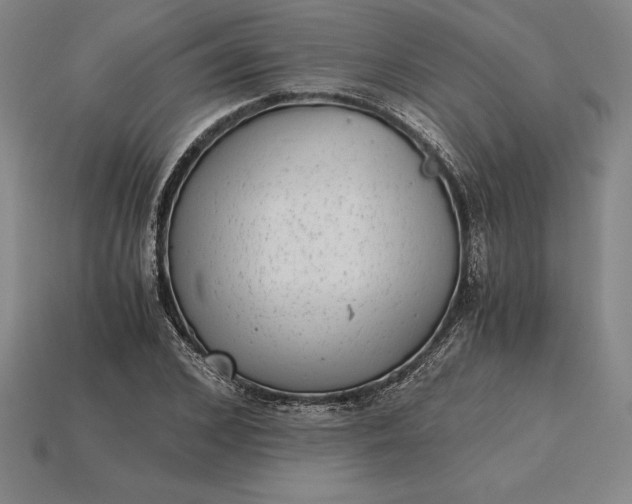 X0000115280976200911131825