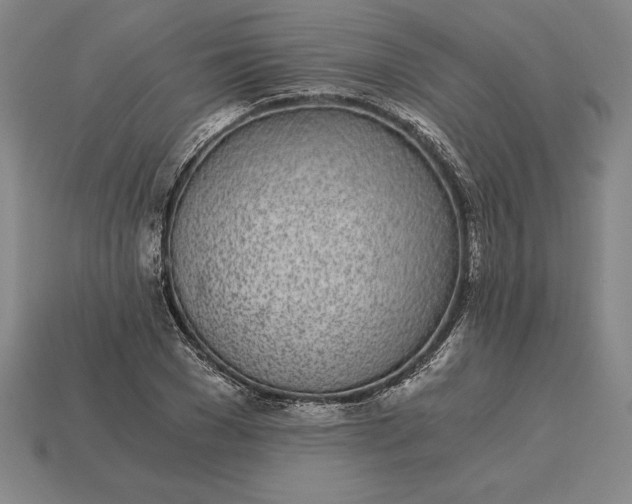 X0000115280977200911131825