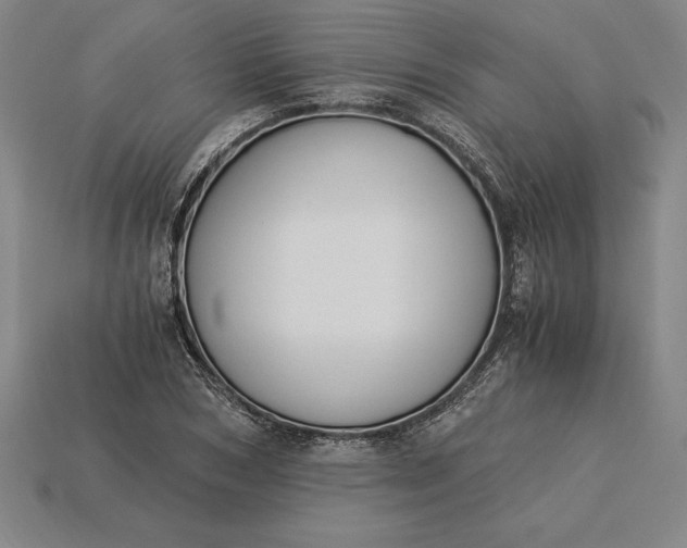 X0000115280978200911131825