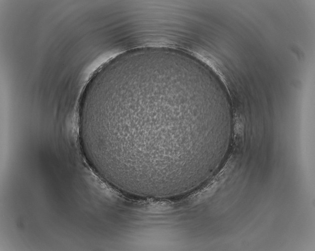 X0000115280979200911131825