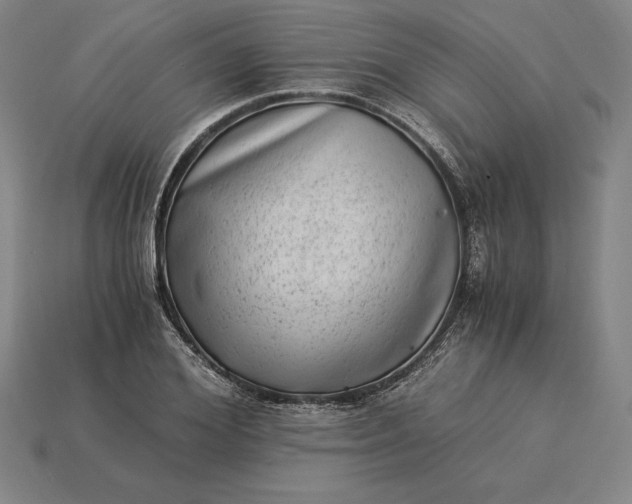 X0000115280980200911131825