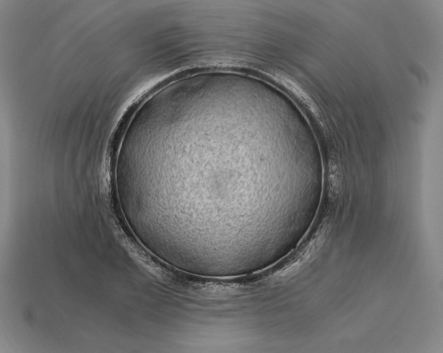 X0000115280981200911131825