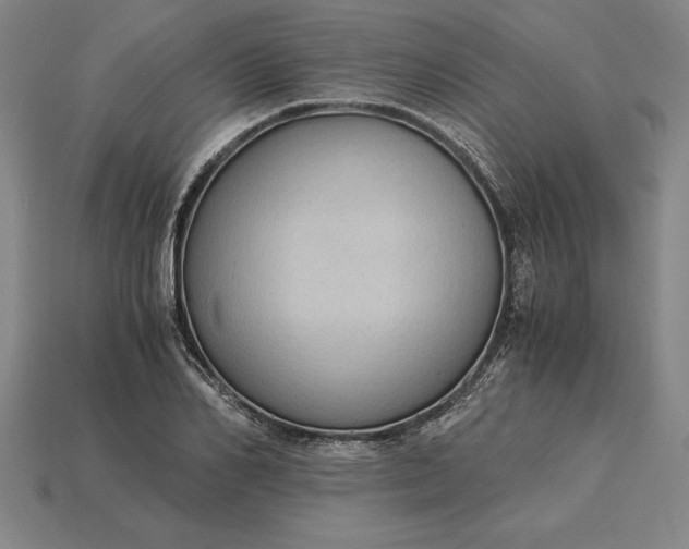 X0000115280982200911131825