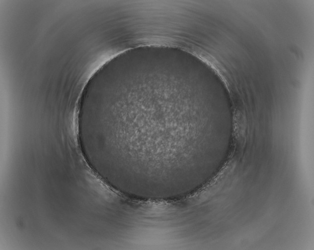 X0000115280983200911131825