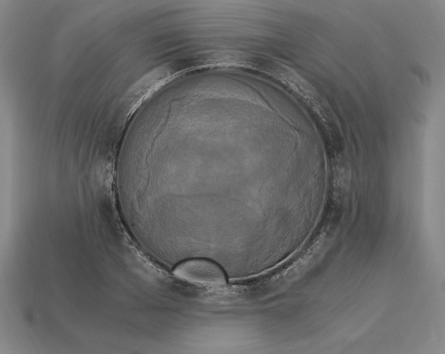 X0000115280985200911131825