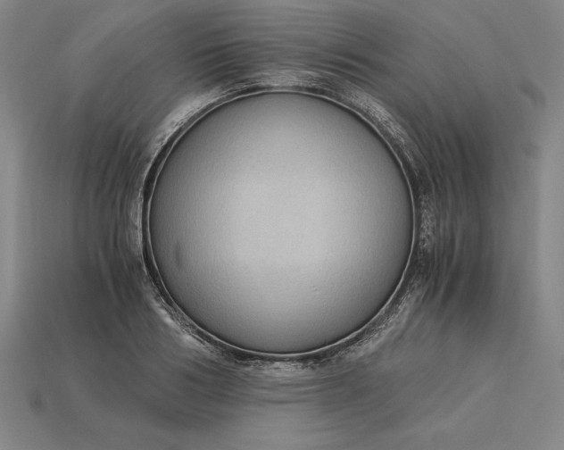 X0000115280986200911131825