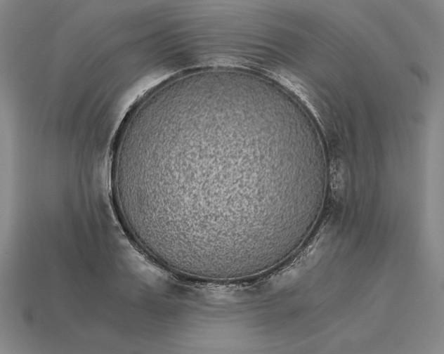 X0000115280987200911131825