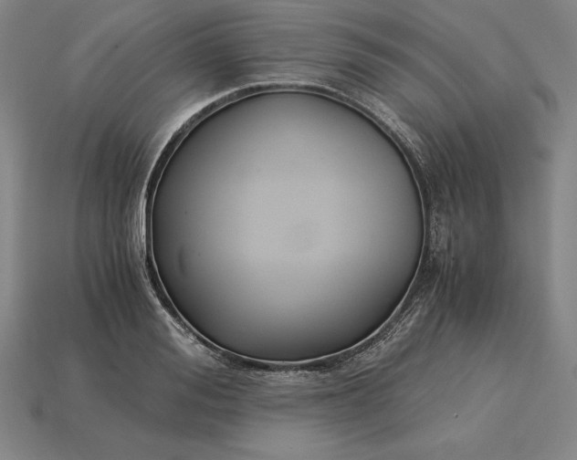 X0000115280988200911131825