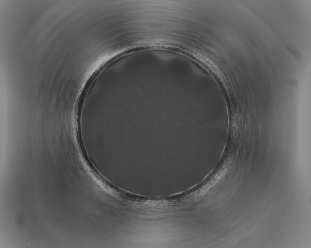 X0000115280989200911131825