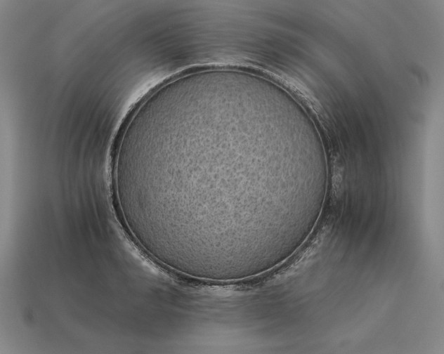 X0000115280990200911131825