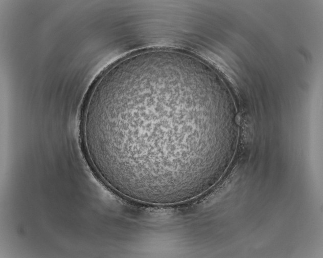 X0000115280991200911131825