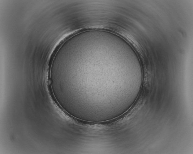 X0000115280992200911131825