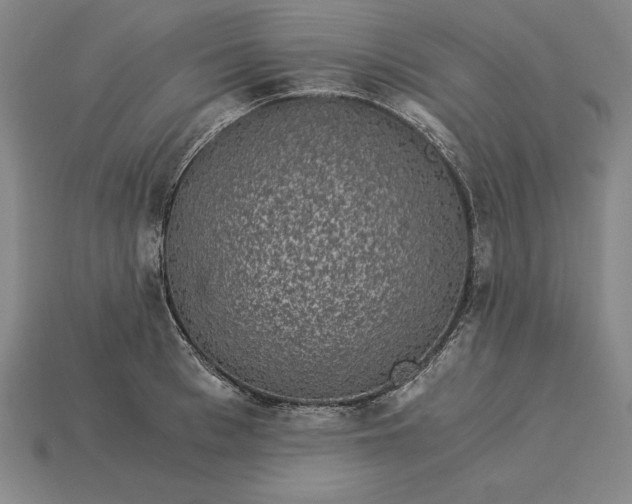 X0000115280993200911131825