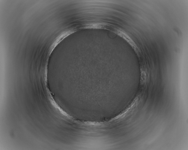 X0000115280994200911131825