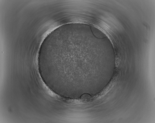 X0000115280995200911131825