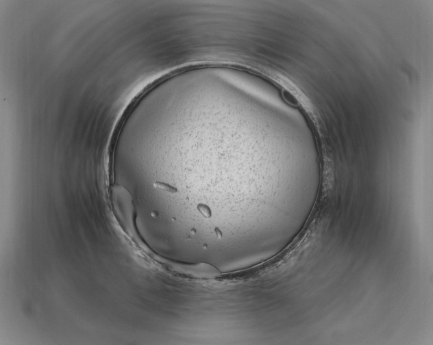 X0000115280996200911131825