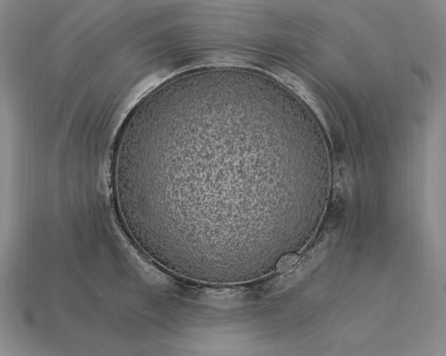 X0000115280997200911131825