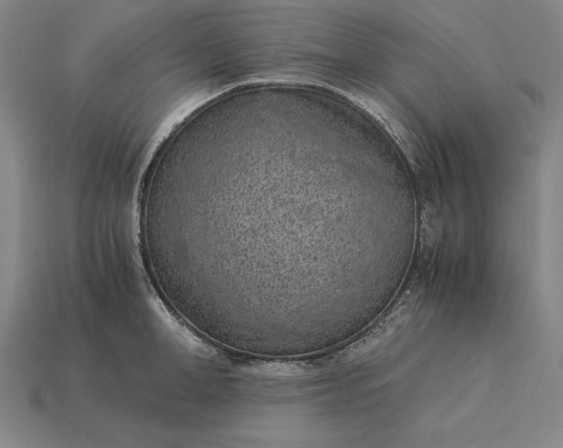 X0000115280998200911131825