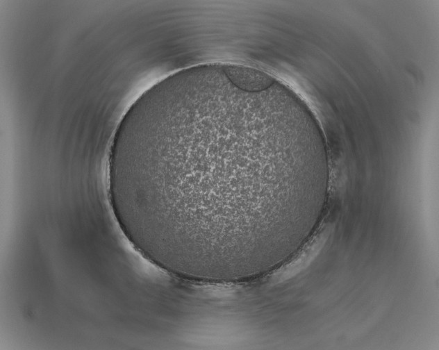 X0000115280999200911131825