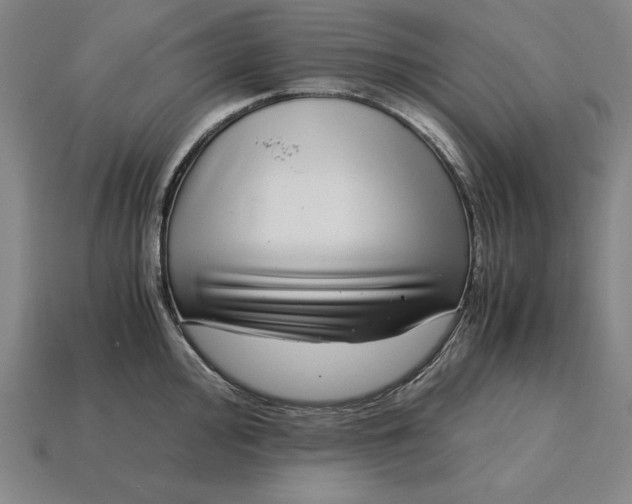 X0000115281000200911131825