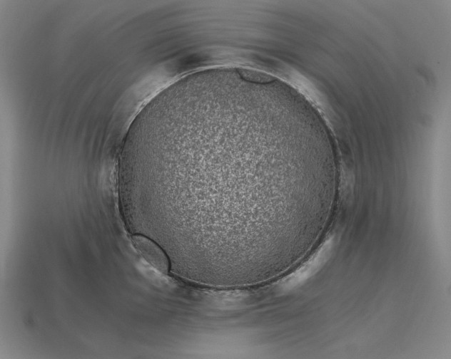 X0000115281001200911131825