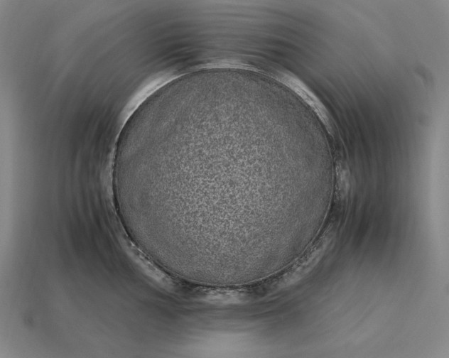 X0000115281002200911131825