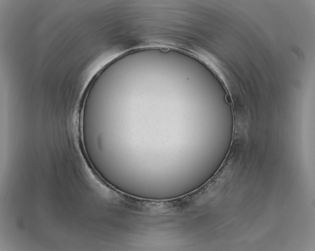 X0000115281003200911131825