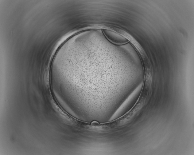 X0000115281004200911131825