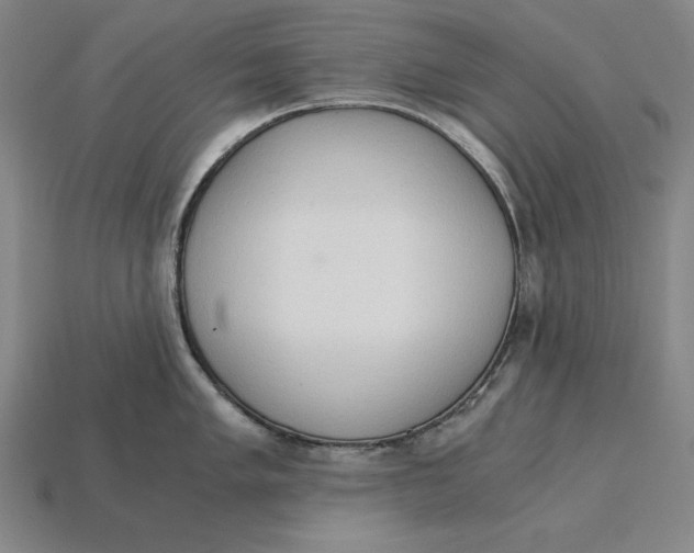 X0000115281005200911131825