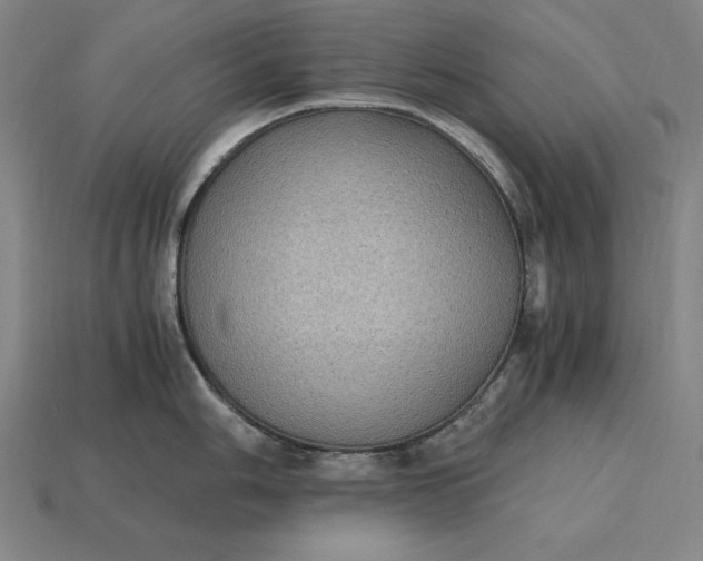 X0000115281006200911131825