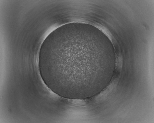 X0000115281007200911131825