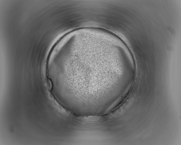 X0000115281008200911131825