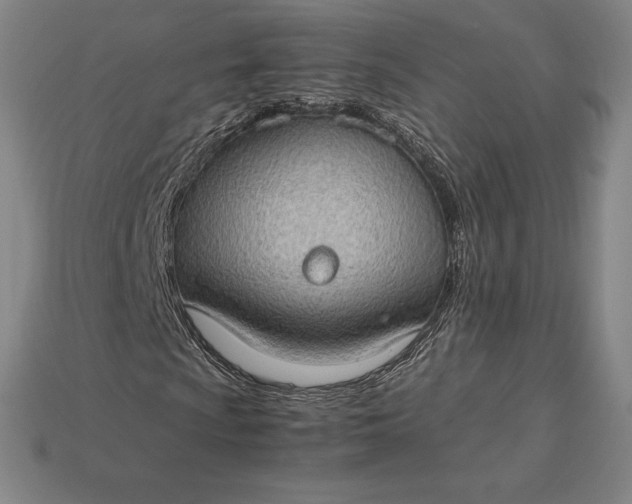 X0000115281009200911131824