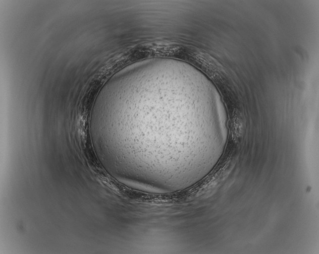 X0000115281010200911131824