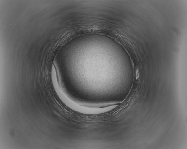 X0000115281011200911131824