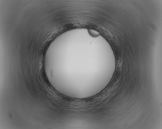 X0000115281012200911131824