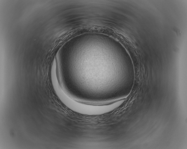 X0000115281013200911131824