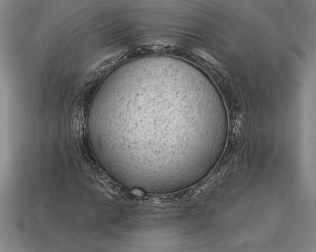 X0000115281014200911131824