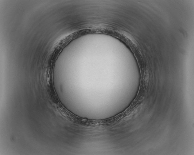 X0000115281016200911131824