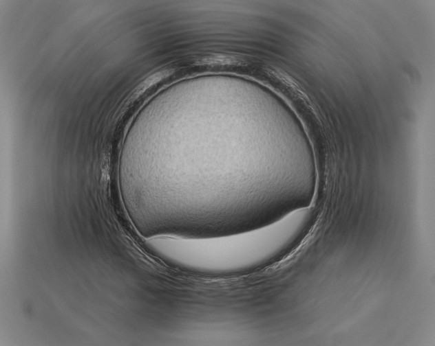 X0000115281017200911131824