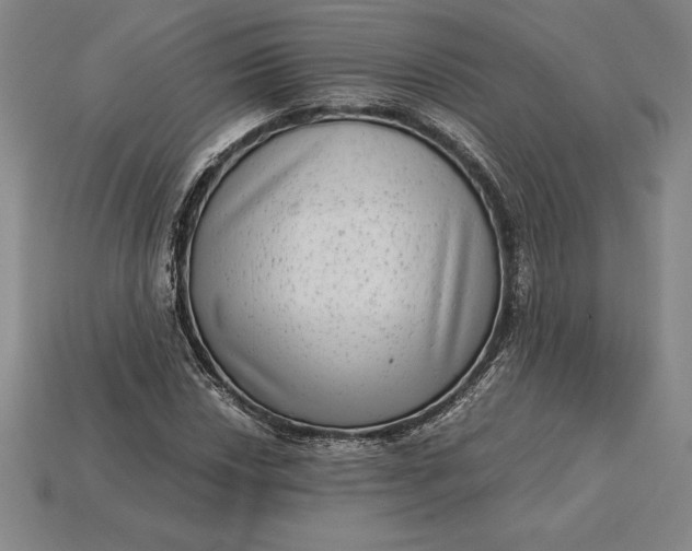 X0000115281018200911131824