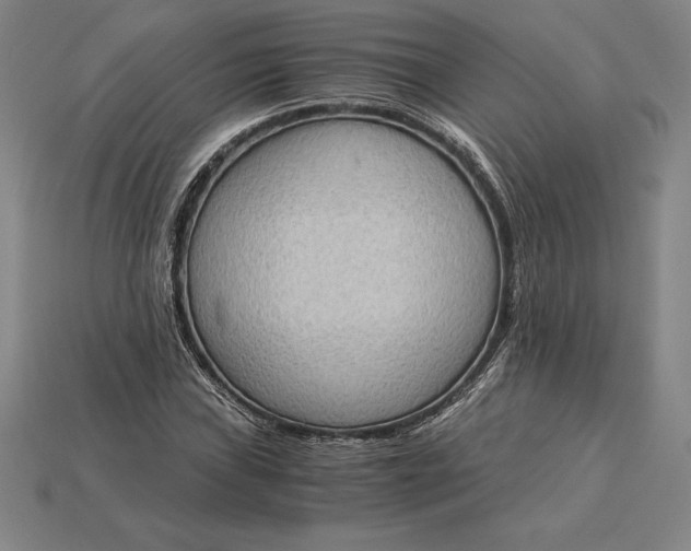 X0000115281019200911131824