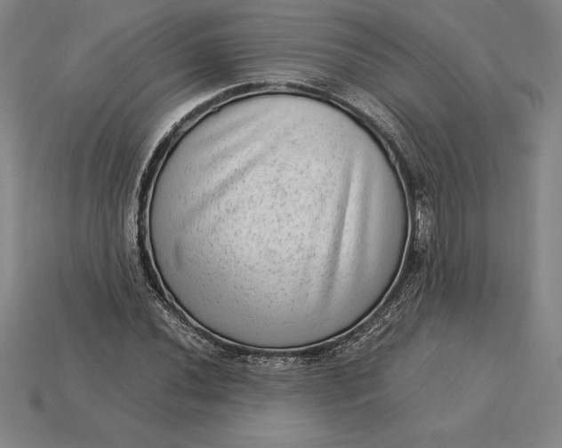 X0000115281020200911131824