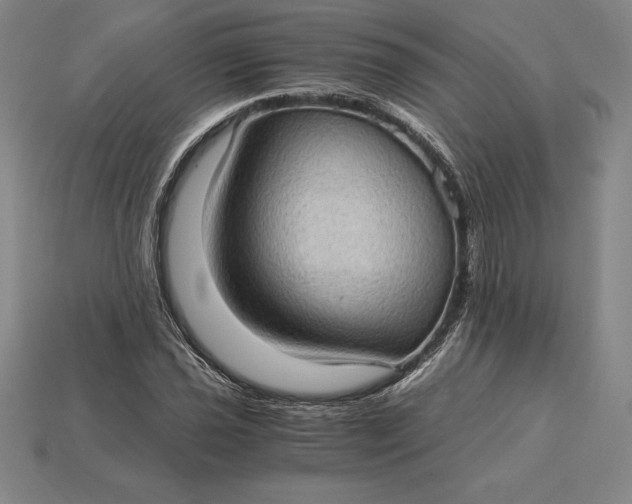 X0000115281021200911131824