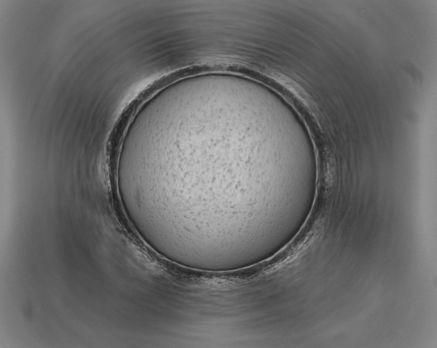 X0000115281022200911131824