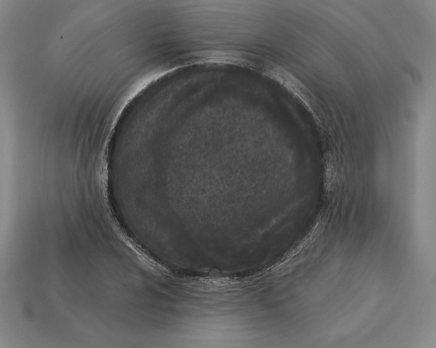 X0000115281024200911131824