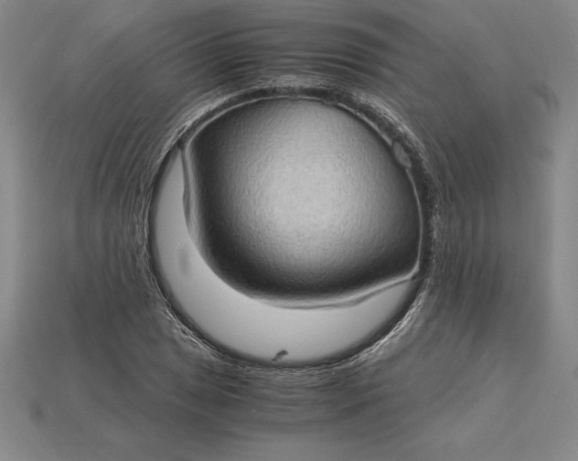 X0000115281025200911131824